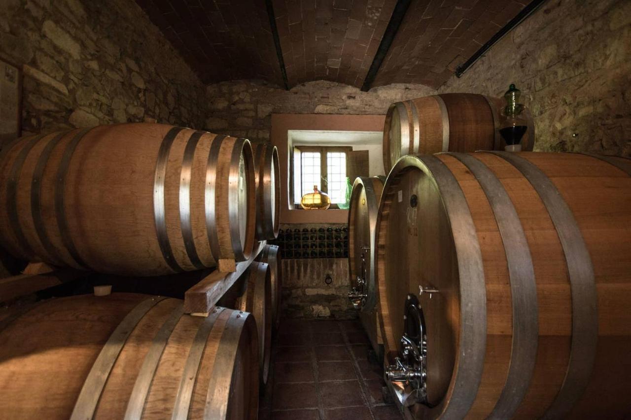 Agriturismo Buondonno Castellina in Chianti Esterno foto